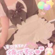 ヒメ日記 2026/04/02 13:30 投稿 イズナ MEGA PALACE(メガパレス）