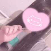 ヒメ日記 2026/04/03 10:53 投稿 イズナ MEGA PALACE(メガパレス）