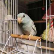 ヒメ日記 2026/03/07 05:38 投稿 るり 性の極み 技の伝道師　五反田店