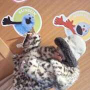 ヒメ日記 2026/03/07 19:30 投稿 LEO 秘密倶楽部 凛 船橋本店