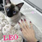 ヒメ日記 2026/03/12 19:43 投稿 LEO 秘密倶楽部 凛 船橋本店