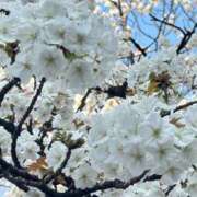 ヒメ日記 2026/04/07 13:31 投稿 むぎ 桃色クリスタル