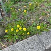 ヒメ日記 2026/04/08 14:57 投稿 むぎ 桃色クリスタル