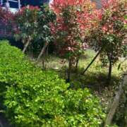 ヒメ日記 2026/04/09 20:26 投稿 むぎ 桃色クリスタル