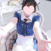 ヒメ日記 2026/03/20 07:50 投稿 みみ PLEASURE