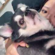 ヒメ日記 2026/04/13 12:43 投稿 ハンナ ドMなバニーちゃん水戸店