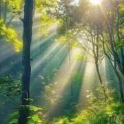 ヒメ日記 2026/03/31 13:30 投稿 篠崎レナ 五十路マダムエクスプレス横浜店（カサブランカグループ）