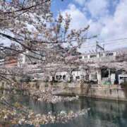 ヒメ日記 2026/04/11 08:02 投稿 篠崎レナ 五十路マダムエクスプレス横浜店（カサブランカグループ）