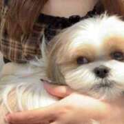 ヒメ日記 2026/03/04 20:56 投稿 みなみ お姉さんSelect