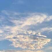 ヒメ日記 2026/03/08 09:45 投稿 ヒカリ ピカソ