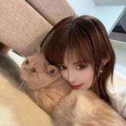 ヒメ日記 2026/04/02 21:48 投稿 レミ カクテル(岡山)