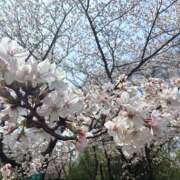 ヒメ日記 2026/04/03 23:41 投稿 れみ ラブ＆ナース