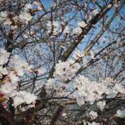 ヒメ日記 2026/03/30 10:30 投稿 望月 那央 CASA BIANCA（カーサ・ビアンカ）