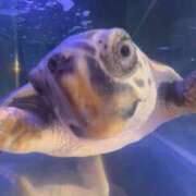 ヒメ日記 2026/03/26 12:16 投稿 はち 新潟デリヘル倶楽部