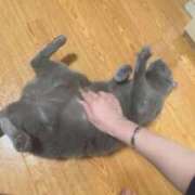 ヒメ日記 2026/03/27 05:26 投稿 はち 新潟デリヘル倶楽部