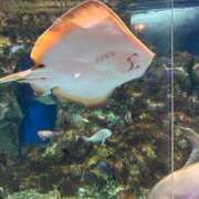 ヒメ日記 2026/03/27 10:06 投稿 はち 新潟デリヘル倶楽部