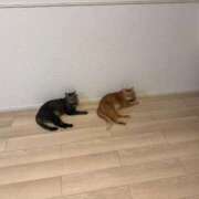 ヒメ日記 2026/03/02 15:01 投稿 滝沢みさき MADAM