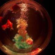 ヒメ日記 2026/04/01 11:31 投稿 滝沢みさき MADAM