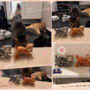 ヒメ日記 2026/07/25 10:16 投稿 滝沢みさき MADAM
