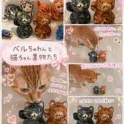 ヒメ日記 2026/08/13 12:01 投稿 滝沢みさき MADAM