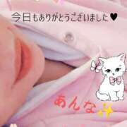 ヒメ日記 2026/03/14 08:32 投稿 あんな ギン妻パラダイス 和歌山店