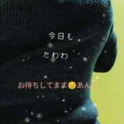 ヒメ日記 2026/03/22 18:49 投稿 あんな ギン妻パラダイス 和歌山店