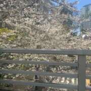 ヒメ日記 2026/04/06 17:00 投稿 さやか One More 奥様　錦糸町店