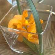 ヒメ日記 2026/04/07 03:23 投稿 さやか One More 奥様　錦糸町店