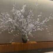 ヒメ日記 2026/04/07 03:43 投稿 さやか One More 奥様　錦糸町店