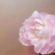 ヒメ日記 2026/04/15 01:52 投稿 さやか One More 奥様　錦糸町店