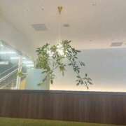 ヒメ日記 2026/05/25 16:43 投稿 さやか One More 奥様　錦糸町店