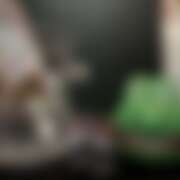 ヒメ日記 2026/03/21 16:28 投稿 ここみ さくらん