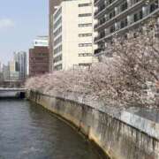 ヒメ日記 2026/03/30 17:47 投稿 なぎ THE ESUTE 渋谷