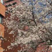 ヒメ日記 2026/04/03 16:59 投稿 なぎ THE ESUTE 渋谷