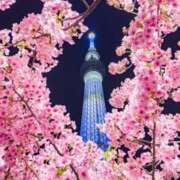 ヒメ日記 2026/03/03 00:19 投稿 ひとえ 鹿児島ちゃんこ霧島店