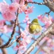 ヒメ日記 2026/03/07 12:39 投稿 ひとえ 鹿児島ちゃんこ霧島店