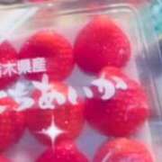 ヒメ日記 2026/03/18 18:06 投稿 古川　すずね スタイリッシュ秘書