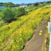 ヒメ日記 2026/05/17 10:08 投稿 ひなた タレント倶楽部Around40