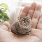 ヒメ日記 2026/09/13 22:54 投稿 ひなた タレント倶楽部Around40