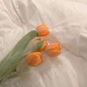 ヒメ日記 2026/03/15 10:45 投稿 好花 ほのか Men's relaxation VEGA