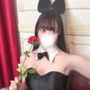 ヒメ日記 2026/03/03 13:22 投稿 みこと JAPAN CLUB BUNNY LOUNGE