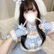 ヒメ日記 2026/03/07 16:30 投稿 みこと JAPAN CLUB BUNNY LOUNGE