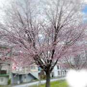 桜宮このか 桜🌸 札幌ソフィア