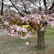 ヒメ日記 2026/05/10 23:18 投稿 桜宮このか 札幌ソフィア