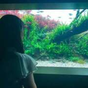 ヒメ日記 2026/05/15 21:18 投稿 桜宮このか 札幌ソフィア