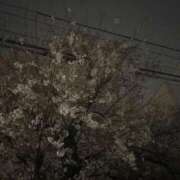 ヒメ日記 2026/04/06 09:30 投稿 りこ あふたーすくーる本店