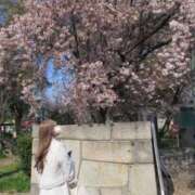 ヒメ日記 2026/03/21 17:02 投稿 あのコに、トリコ。 GOOD-グッド-