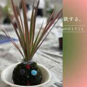 ヒメ日記 2026/07/21 06:14 投稿 Emi MARVELOUS
