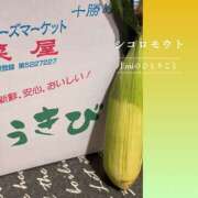 ヒメ日記 2026/08/28 10:07 投稿 Emi MARVELOUS