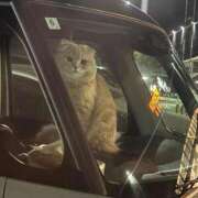 ヒメ日記 2026/04/23 22:11 投稿 姫華(ひめか) グランドオペラ横浜